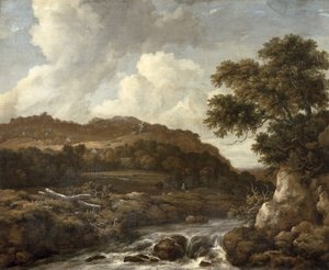 Paisaje boscoso montañoso con un torrente